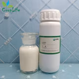 King Quenson Fao Glifosato de alta qualidade 75,7% Wsg Fornecedor de pesticidas